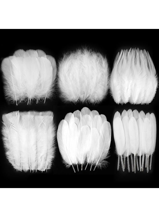 Larryhot White Craft Feathers Bulk - 240pcs 6 Style Mixed Natural Feathers for Wedding Home Party, Dream Catcher Supplies and DIY Crafts (White) - Image 1