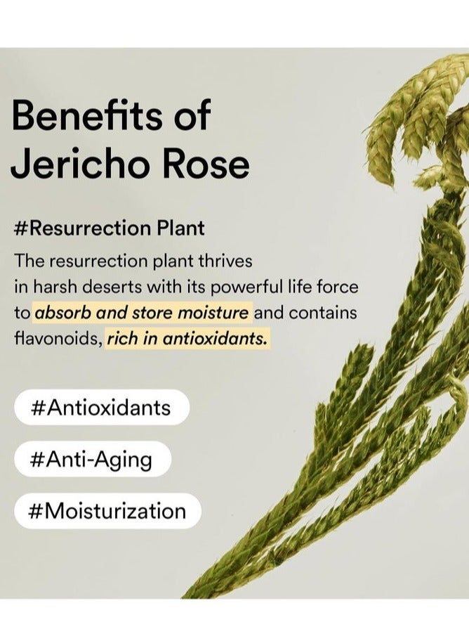 abib كريم تغذية وردة أريحا أنبوب 75 مل - Image 5