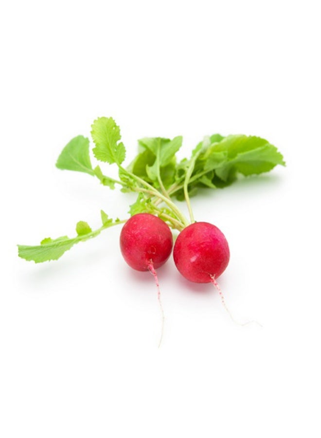 Radishes, 125g, Netherlands