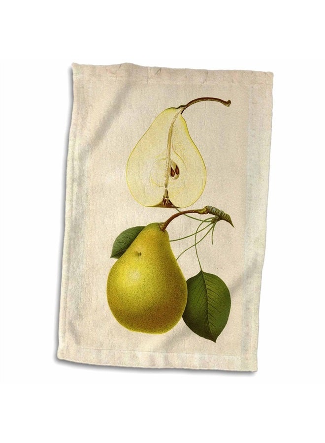3DROSE 3D Rose Antique Drawing of A Pear TWL_61778_1 Towel, 15" x 22"
