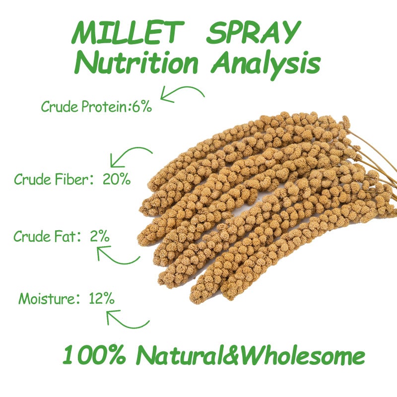 RANZ 5LBS Spray Millet Treat for Pet Birds, Hand-Harvested Bird Snack, Natural Sun-Dried Millet Spray for Parakeets, Parrots, Cockatiels, Lovebirds, Budgies, Finches, Canaries - Image 3