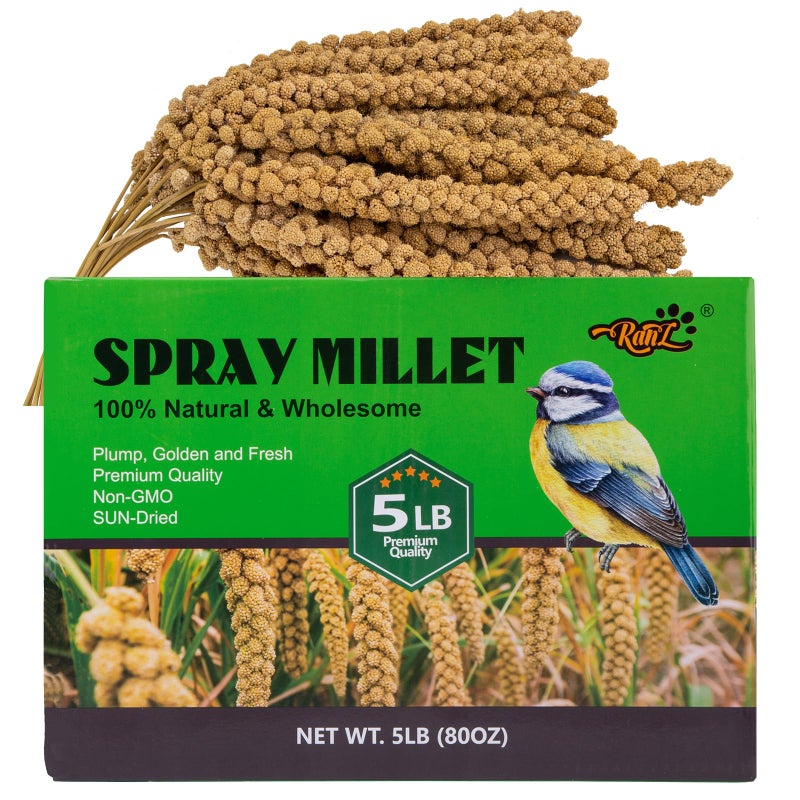 RANZ 5LBS Spray Millet Treat for Pet Birds, Hand-Harvested Bird Snack, Natural Sun-Dried Millet Spray for Parakeets, Parrots, Cockatiels, Lovebirds, Budgies, Finches, Canaries - Image 1