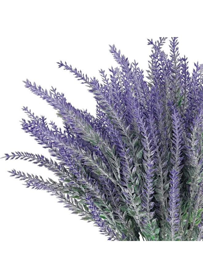 ممون زهرة - Image 2