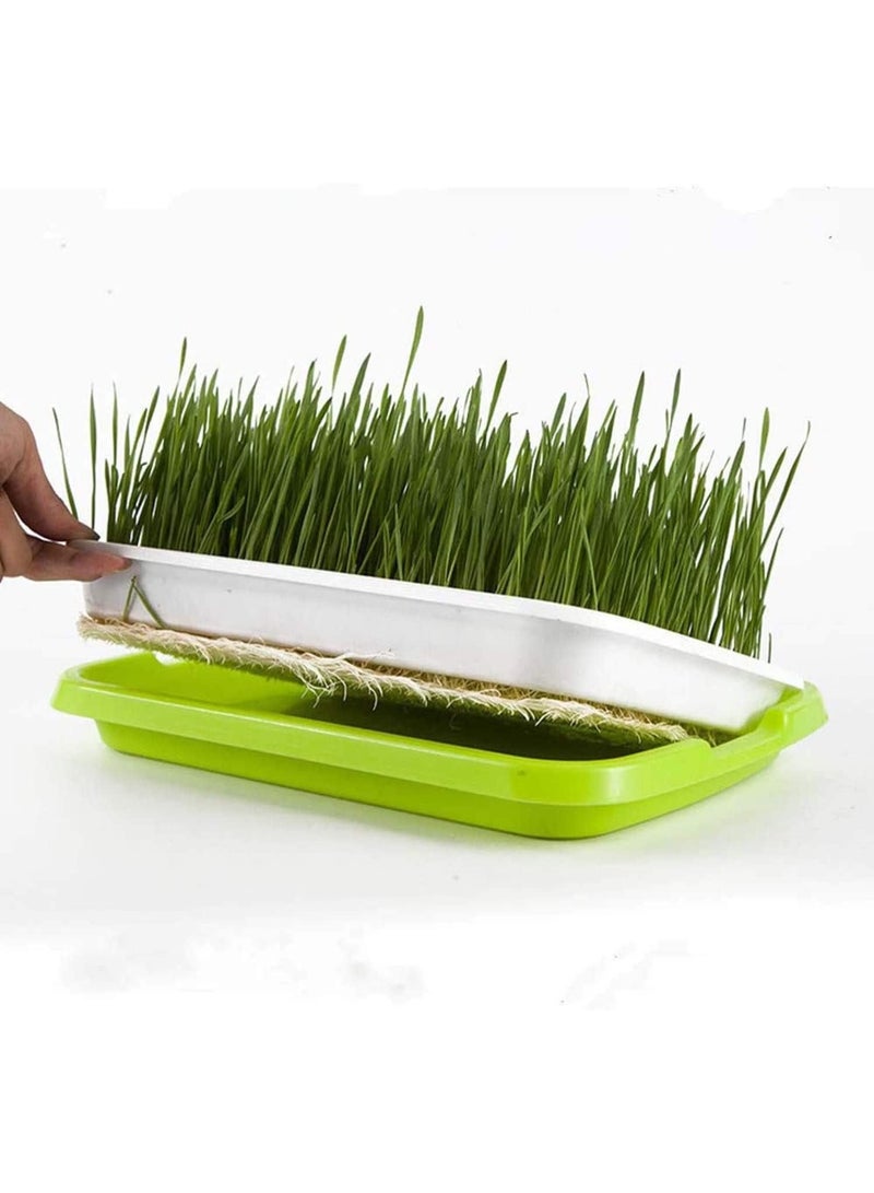 Generic Seed Sprouter Tray, Growing Trays, Seed Germination Tray with Drain Holes, BPA Free, Soil Free Big Capacity, for Planting Seedlings Soil Free Healthy Wheatgrass, Great for Home Garden  - Image 1