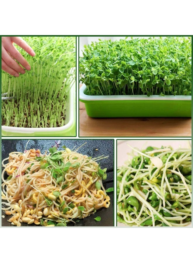 Generic Seed Sprouter Tray, Growing Trays, Seed Germination Tray with Drain Holes, BPA Free, Soil Free Big Capacity, for Planting Seedlings Soil Free Healthy Wheatgrass, Great for Home Garden  - Image 3