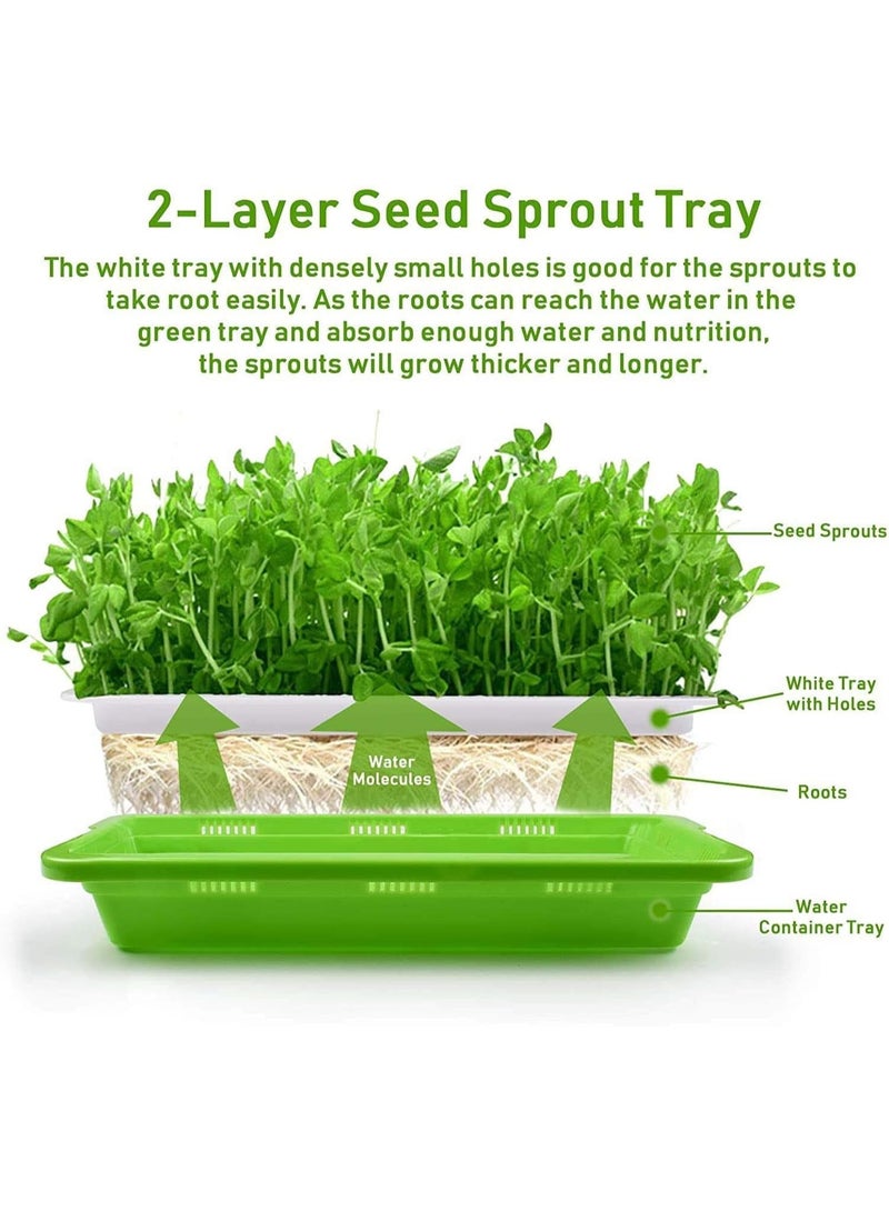 Generic Seed Sprouter Tray, Growing Trays, Seed Germination Tray with Drain Holes, BPA Free, Soil Free Big Capacity, for Planting Seedlings Soil Free Healthy Wheatgrass, Great for Home Garden  - Image 4