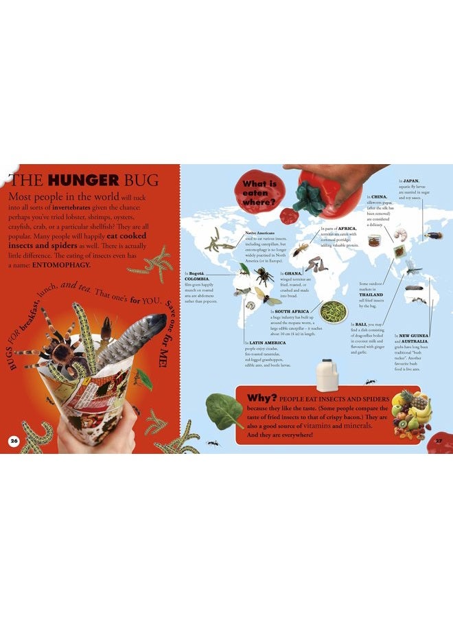 DK Everything You Need to Know About Bugs - Image 3