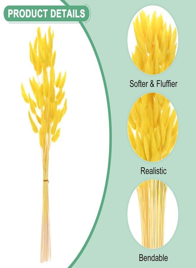 مجموعة M METERXITY المكونة من 60 قطعة من عشب ذيل الأرنب، 17 بوصة، عشب ذيل الأرنب المنفوش، أغصان الزهور المجففة، حشو المزهريات، عشب البامباس المجفف، ديكور للمنزل/حفلات الزفاف/المزهريات/المكتب/الحفلات [أصفر ذهبي] - Image 2