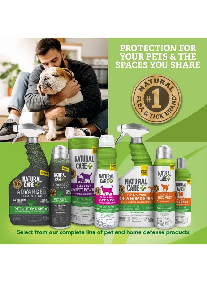 Natural Care Flea And Tick Carpet Treatment Natural Care Flea And