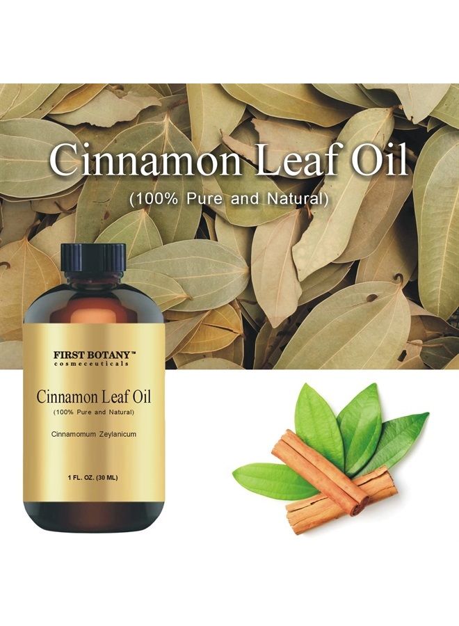 First Botany , 100% Pure Frankincense Essential Oil - Premium Frankincense Oil for Aromatherapy, Massage, Topical & Household Uses - 1 fl oz (Frankincense) - Image 2