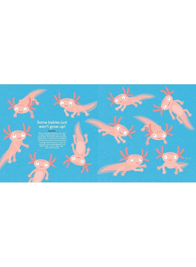 Wild About Babies  - Image 4