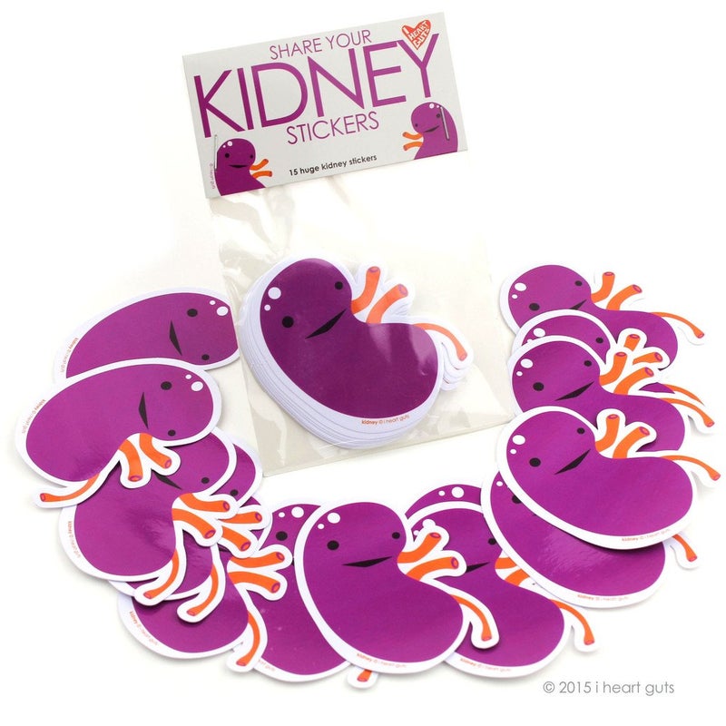 I Heart Guts Share Your Kidneys Stickers  15 Kidney Stickers  Vinyl Sticker Pack