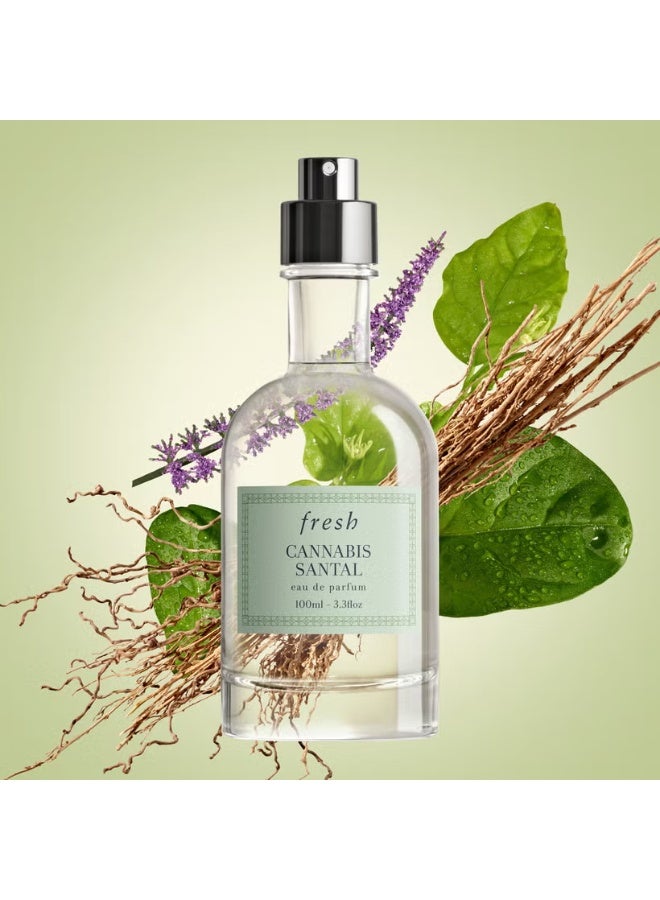 Fresh Cannabis Santal Eau de Parfum 30ml - Image 3
