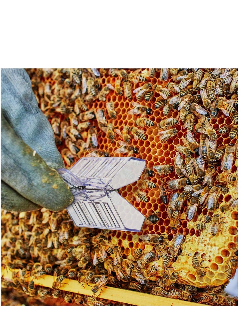 lasenersm 5 Pieces Queen Bee Cage Catcher Clips Plastic Queen Catching Tool Queen Catcher Queen Bee Catcher Queen Bee Cage Bee Queen Marking Catcher for Safely Capture and Store The Queen Bees, Transparent - Image 2