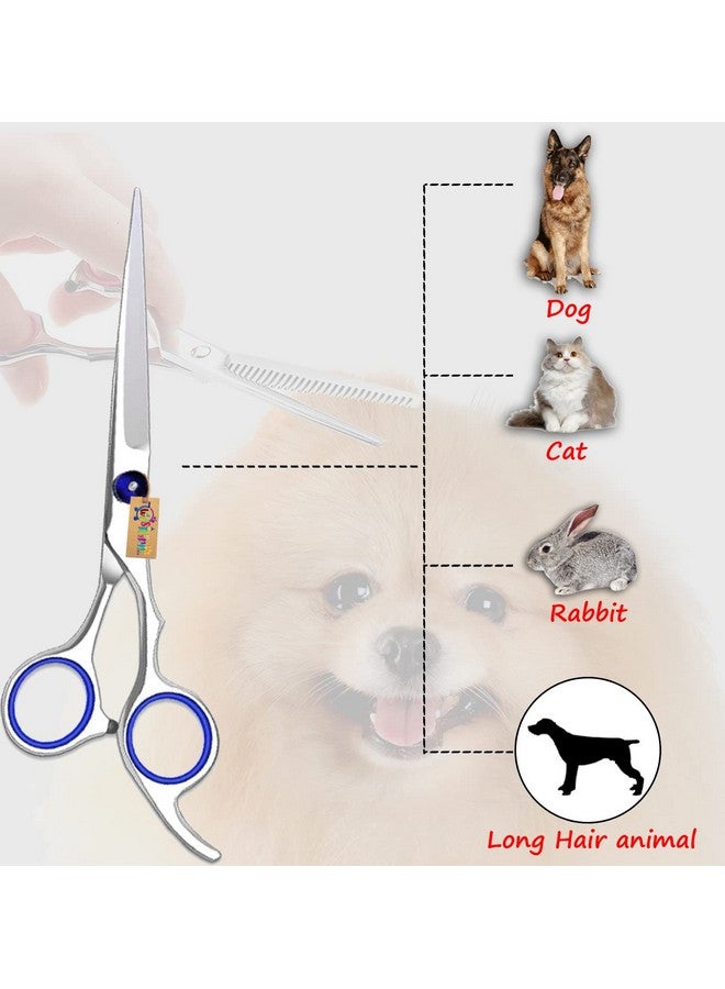 سايج سكوير مقص مستقيم للعناية بالحيوانات الأليفة، شديد التحمل، مصنوع من التيتانيوم، مستقيم مطلي، سهل الاستخدام، قبضة مثالية، برغي قابل للتعديل، جميل، مصقول، لامع، مثالي للعناية بالكلاب والقطط (15 سم) - Image 5