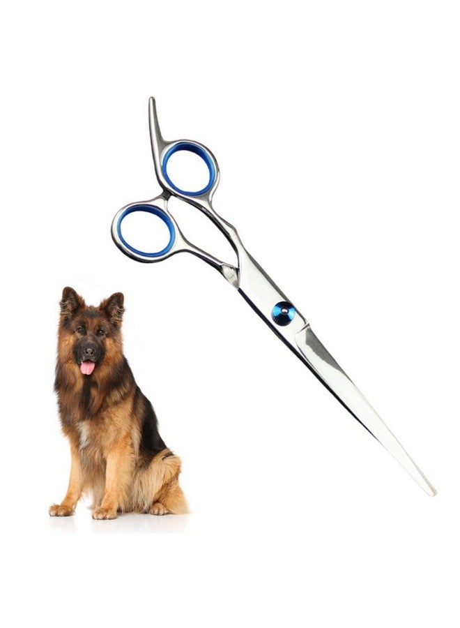 سايج سكوير مقص مستقيم للعناية بالحيوانات الأليفة، شديد التحمل، مصنوع من التيتانيوم، مستقيم مطلي، سهل الاستخدام، قبضة مثالية، برغي قابل للتعديل، جميل، مصقول، لامع، مثالي للعناية بالكلاب والقطط (15 سم) - Image 1