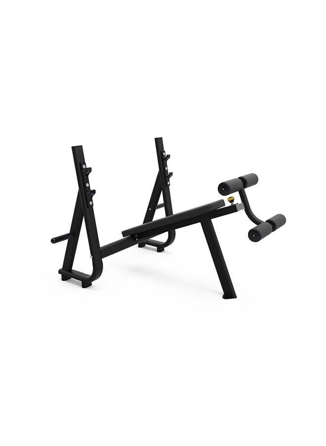 Decline Chest Press Bench, Heavy-Duty Strength Training Equipment, Adjustable Angles, Stable and Durable | Mf-Gym-17648-Sh-5 - pzsku/Z1F458F625C6F18E0D6B1Z/45/_/1677848607/53761197-94a6-4d35-9839-e5055cc08b97