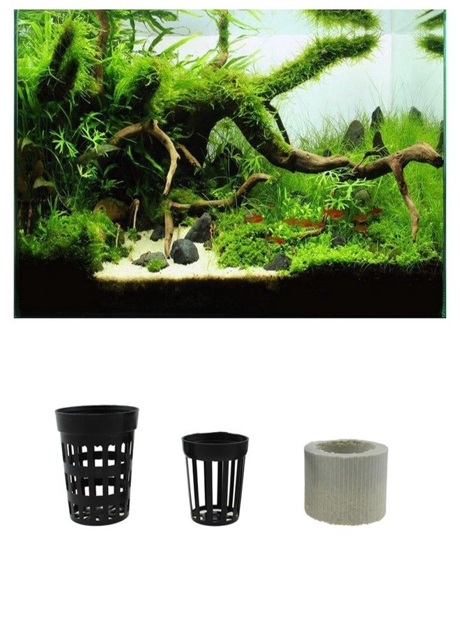 ماكسمورال مجموعة حلقات تثبيت نباتات مائية سيراميكية من ماكسمورال، 15 قطعة، لتزيين أحواض السمك، ومستلزمات الحيوانات الأليفة - Image 4