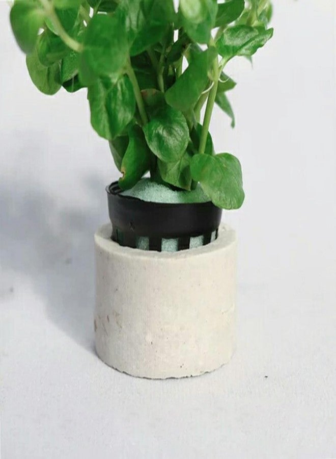 ماكسمورال مجموعة حلقات تثبيت نباتات مائية سيراميكية من ماكسمورال، 15 قطعة، لتزيين أحواض السمك، ومستلزمات الحيوانات الأليفة - Image 5