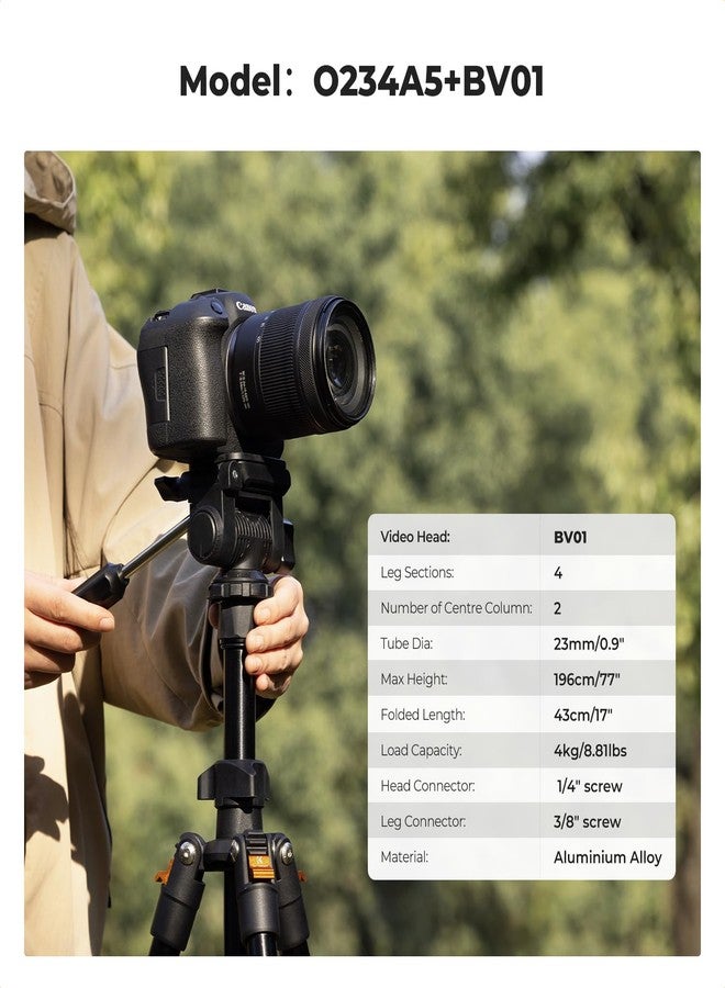 K&F CONCEPT Tripod Camera 196 cm O234A0+BV01 with 3-Way Swivel Head Tilt +100°/-70°, Load 4 kg for SLR, DSLR, Smartphone with Phone Holder - Image 2