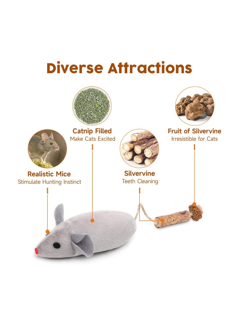 Zikra 3Pcs Catnip Mice Toys, Silvervine Interactive Cat Toy Indoor Cat Exercise Toy Kittens Dental Chew Toy Matatabi Plush Animals Catnip Enrichment Toy Interactive Kitten Play for Exercise - Image 2