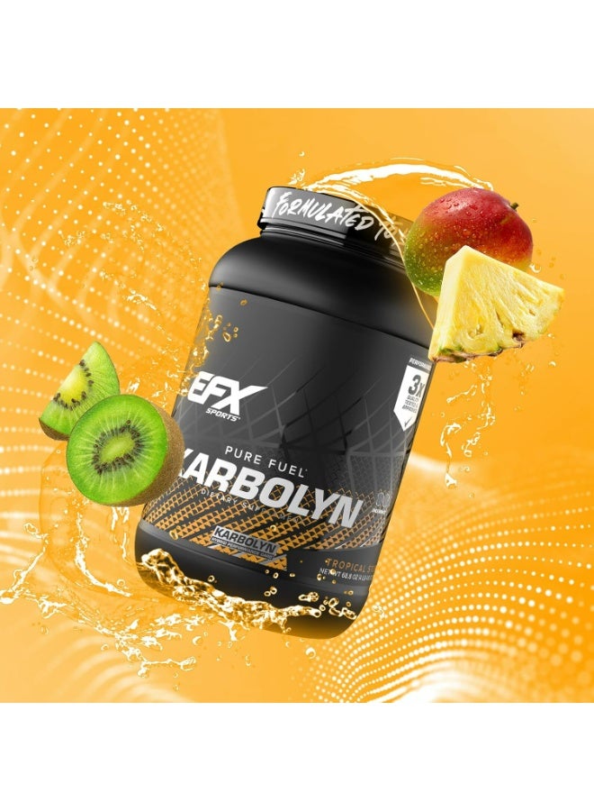 إي إف إكس سبورتس كاربولين فيول من إي إف إكس سبورتس | مسحوق كربوهيدرات سريع الامتصاص | حمولة كربوهيدرات، طاقة مستدامة، تعافي سريع | خالٍ من المنشطات | ٣٧ حصة (عاصفة استوائية) - Image 2