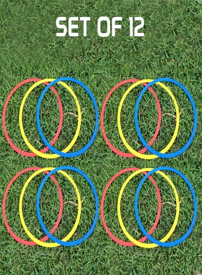 YMD Flat Ring 12 pc with 6 Straps Speed Ladder (Multicolor) - Image 3