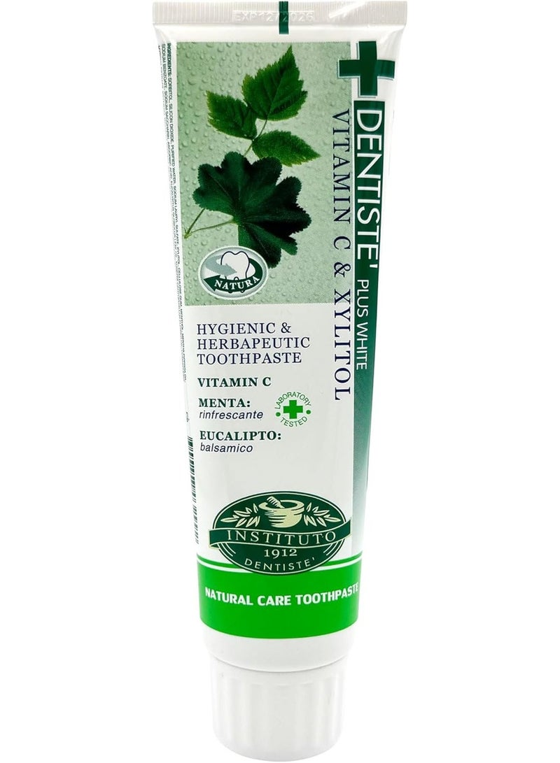 Dentiste Plus Night Time Toothpaste Tube 100 gm - Image 1