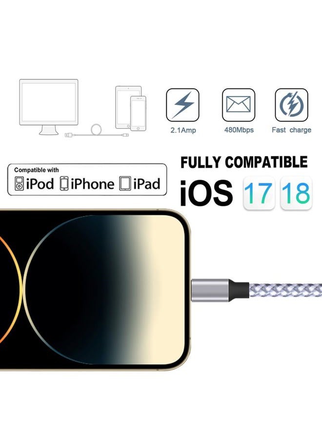 TAKAGI iphone Charger 3PACK 6Feet Extra Long Nylon Braided USB Charging Cable High Speed Connector Data Sync Transfer Cord Compatible with iphone XS Max/X/8/7/Plus/6S/6/SE/5S ipad - Image 5