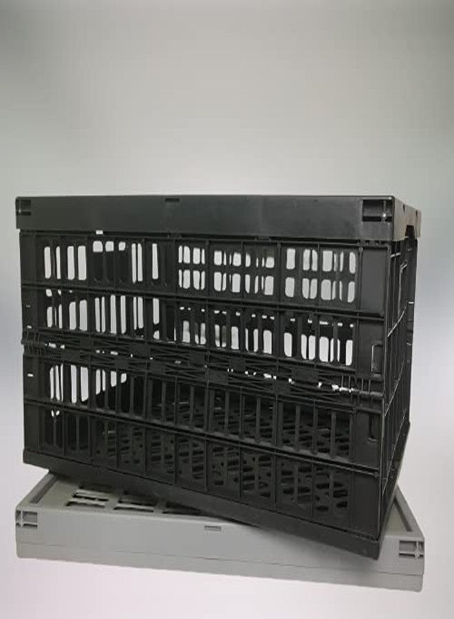 Big Apple Bigapple Portable Folding Basket Collapsible Durable Polypropylene Foldable Crate for Stacking, Storage and Organizing (50X38X26 cm, 25 kg Capacity, Black Color) - Pack of 1 (1) - Image 1