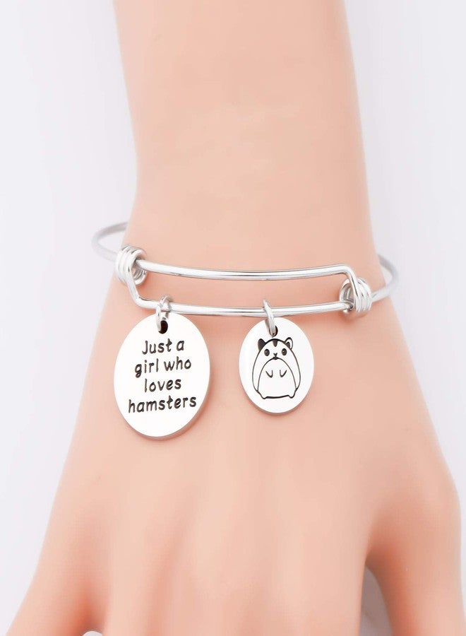 SEIRAA Hamsters Lover Gift Hamster Charm Bracelet Just a Lady Who Loves Hamsters Animal Lover Jewelry Gift for Women (Hamsters bracelet) - Image 3