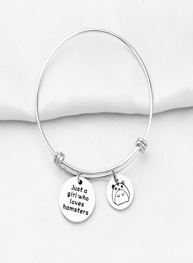 SEIRAA Hamsters Lover Gift Hamster Charm Bracelet Just a Lady Who Loves Hamsters Animal Lover Jewelry Gift for Women (Hamsters bracelet) - Image 4