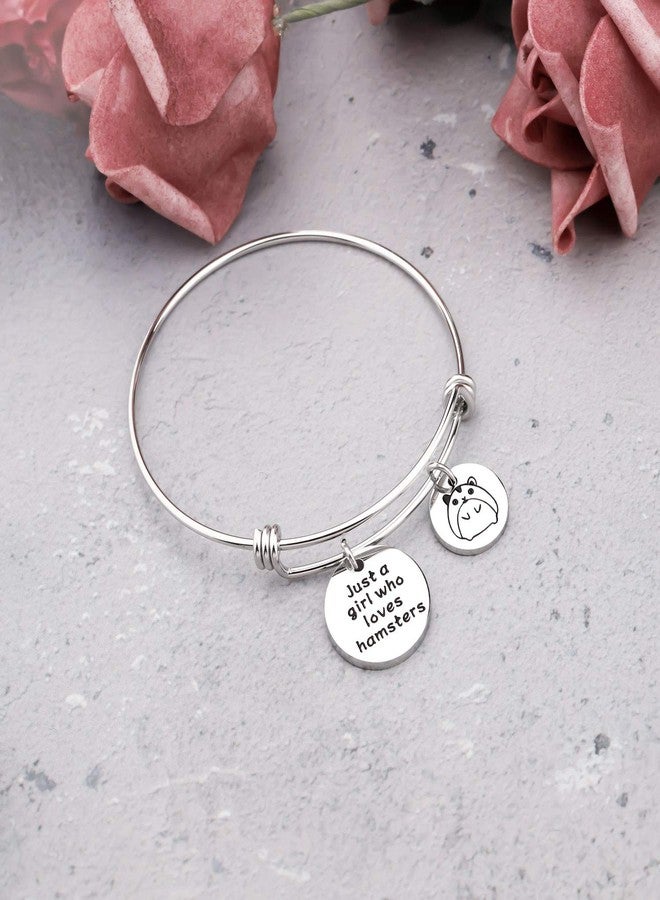 SEIRAA Hamsters Lover Gift Hamster Charm Bracelet Just a Lady Who Loves Hamsters Animal Lover Jewelry Gift for Women (Hamsters bracelet) - Image 2