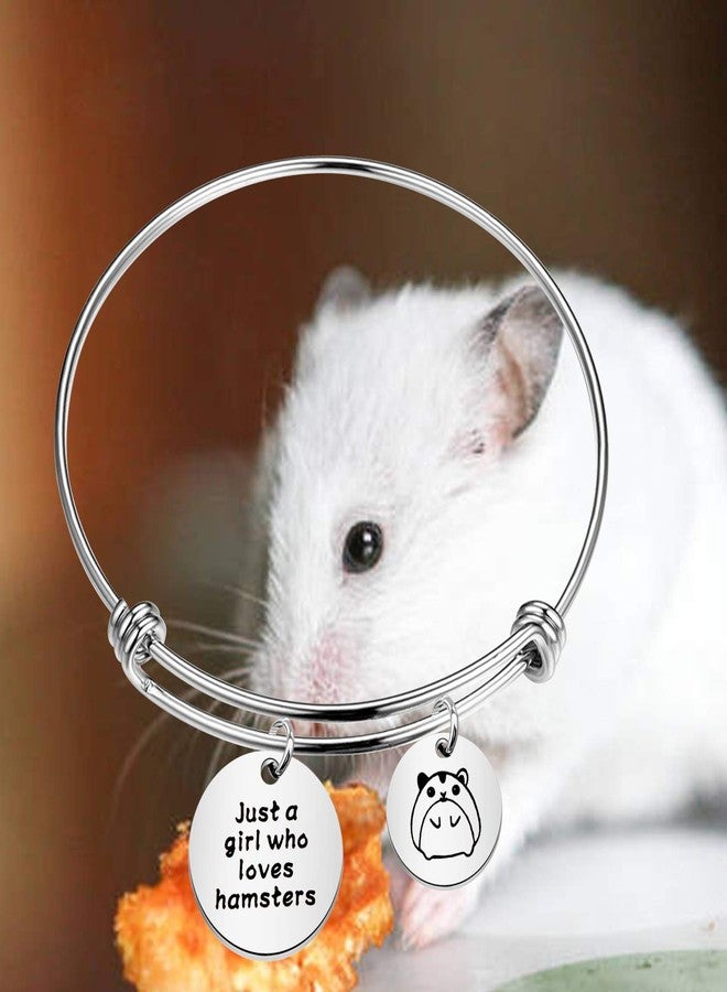 SEIRAA Hamsters Lover Gift Hamster Charm Bracelet Just a Lady Who Loves Hamsters Animal Lover Jewelry Gift for Women (Hamsters bracelet) - Image 5