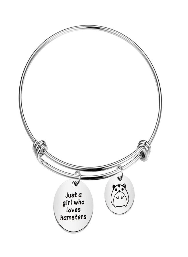 SEIRAA Hamsters Lover Gift Hamster Charm Bracelet Just a Lady Who Loves Hamsters Animal Lover Jewelry Gift for Women (Hamsters bracelet) - Image 1