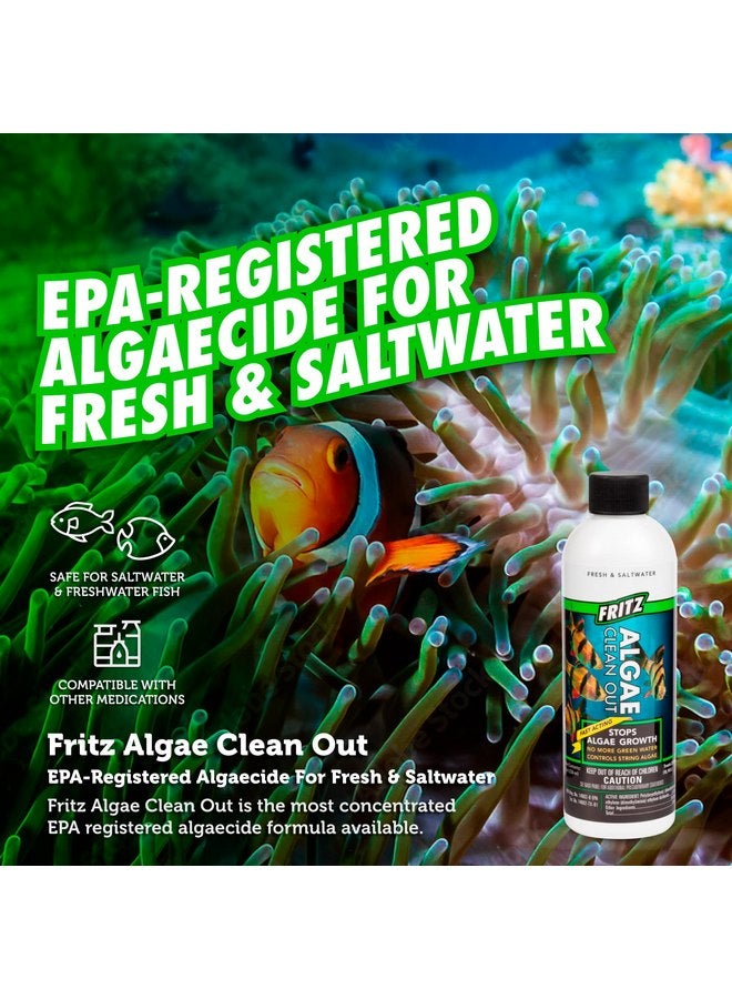 Fritz Aquatics AFA48008 Algae Clean Out for Aquarium, 8-Ounce, Model: 805000 - Image 2