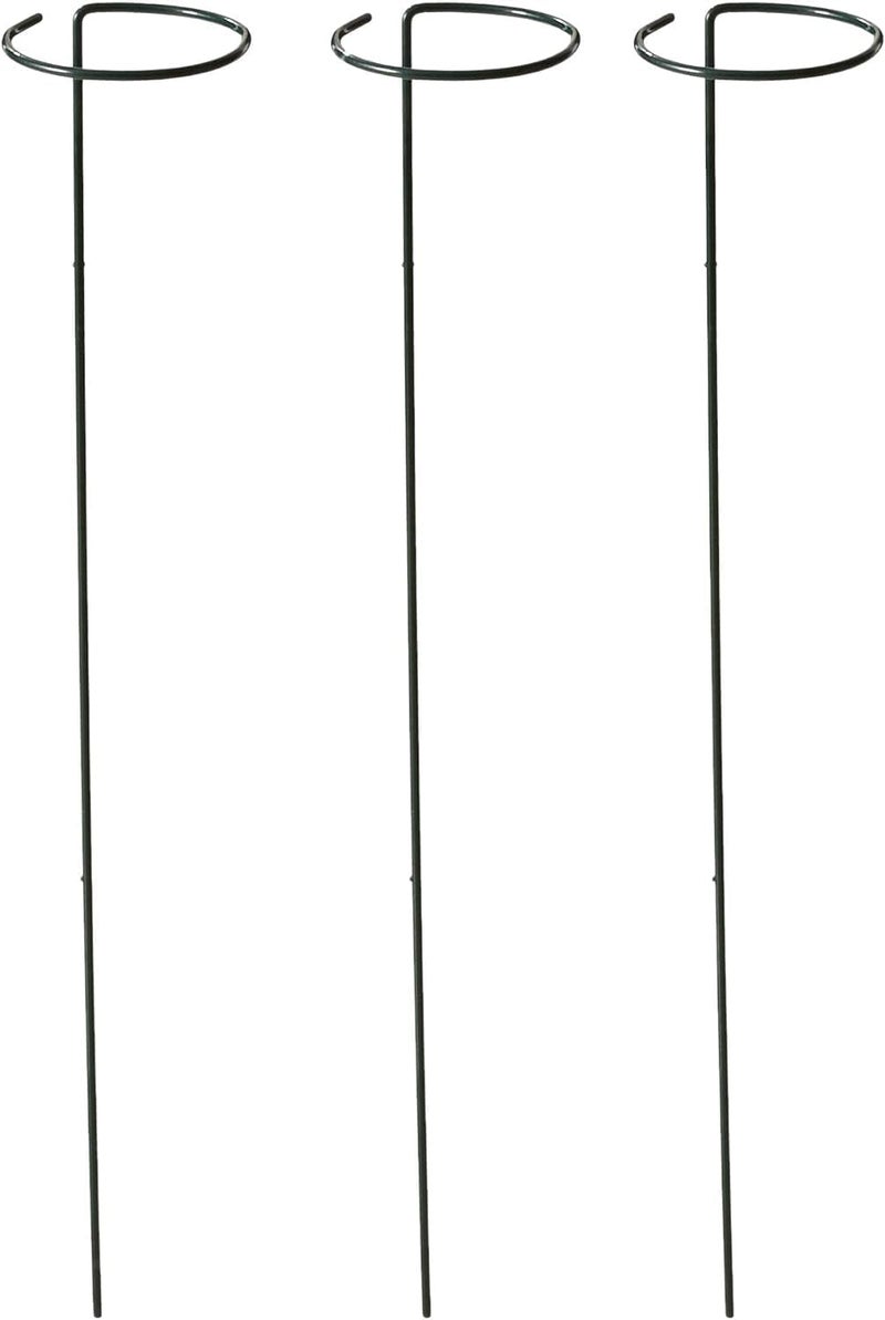 Bosmere Bosmere E533 36Inch Plant Stem Support with 6Inch Hoop 3Pack  - Image 1