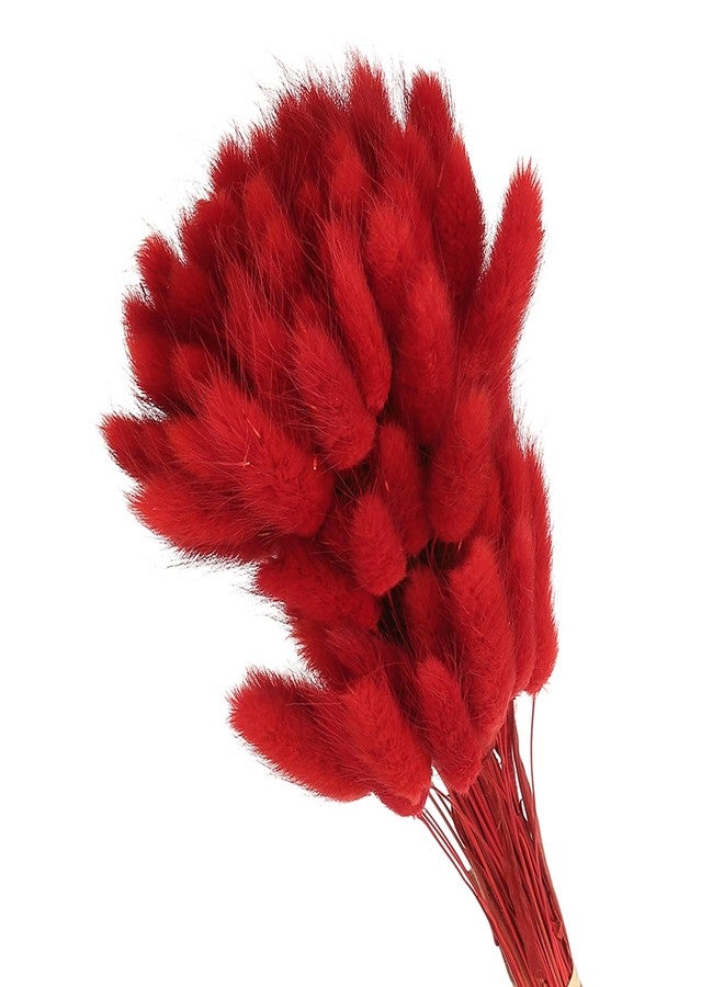 PATIKIL 15.7in Bunny Tails Dried Flowers, 80pcs Pampas Grass Decor Rabbit Tail Natural Pampas Grass Bulk Fluffy Faux Pampas Grass Dried for Home Boho Decor Vase Wedding Table, Red - Image 1