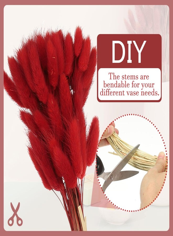 PATIKIL 15.7in Bunny Tails Dried Flowers, 80pcs Pampas Grass Decor Rabbit Tail Natural Pampas Grass Bulk Fluffy Faux Pampas Grass Dried for Home Boho Decor Vase Wedding Table, Red - Image 3