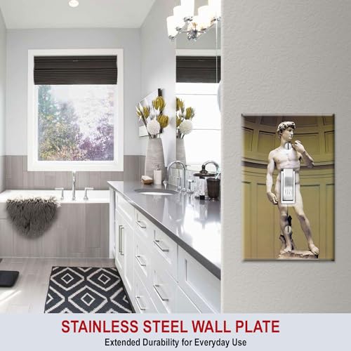 Art Plates - Michelangelo's David Switch Plate - Single Toggle - Image 2