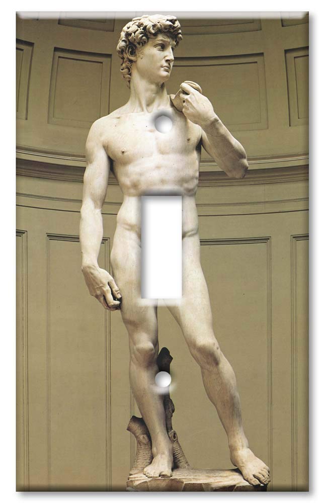 Art Plates - Michelangelo's David Switch Plate - Single Toggle - Image 1