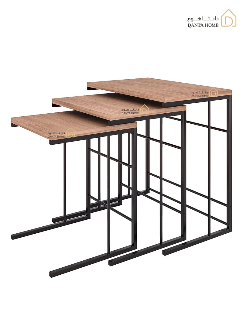 DANTA HOME Set Of 3 Side Table Coffee Tables Suitable For Placement Next To A Sofa, Wood Top And Metal Legs - Brown / Black  - Image 1