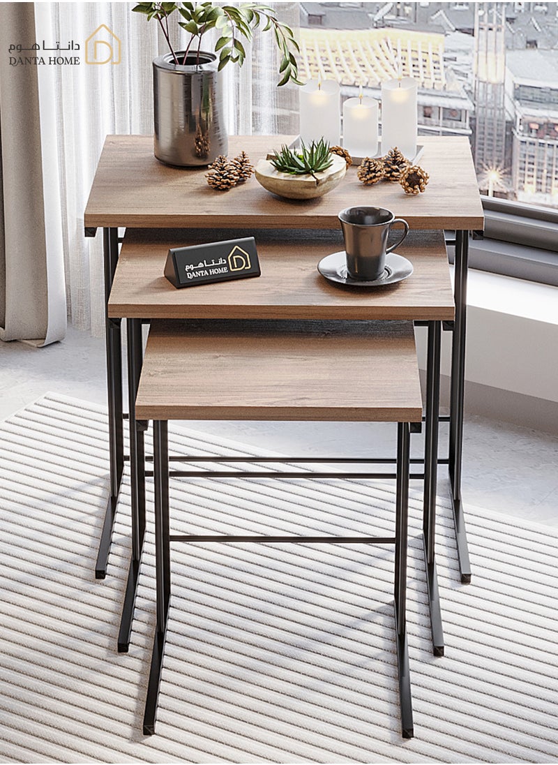 DANTA HOME Set Of 3 Side Table Coffee Tables Suitable For Placement Next To A Sofa, Wood Top And Metal Legs - Brown / Black  - Image 2