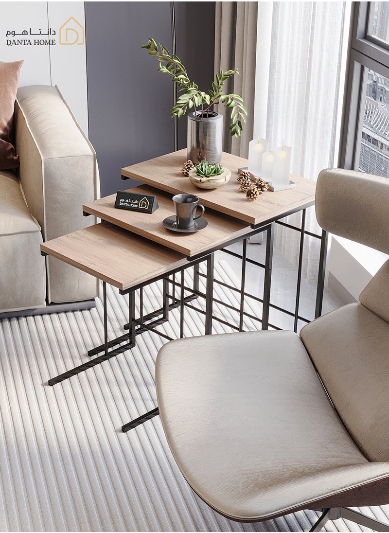 DANTA HOME Set Of 3 Side Table Coffee Tables Suitable For Placement Next To A Sofa, Wood Top And Metal Legs - Brown / Black  - Image 3