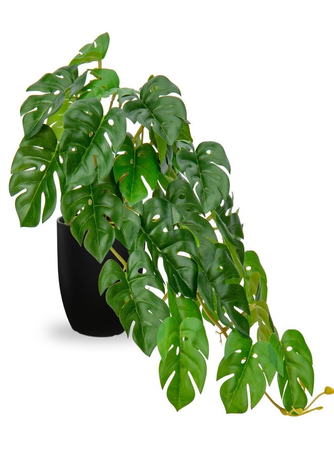 DILATATA Fake Plants Indoor 8 Inch Artificial Monstera Plant in Black Plastic Pot - Faux Potted Tropical Palm Plant for Home Aesthetic Decor Living Room Shelf Office - Image 1