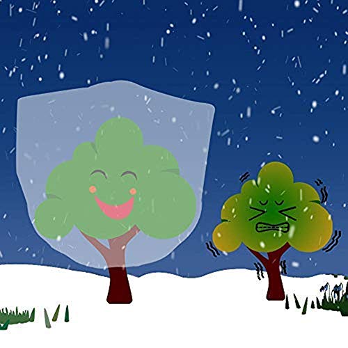 Agfabric Plant Covers Freeze Protection with Zipper 0.9oz 135"x120"x48" Shrub Cover Winter Tree Jacket for Frost Protection&Season Extension,White - Image 4