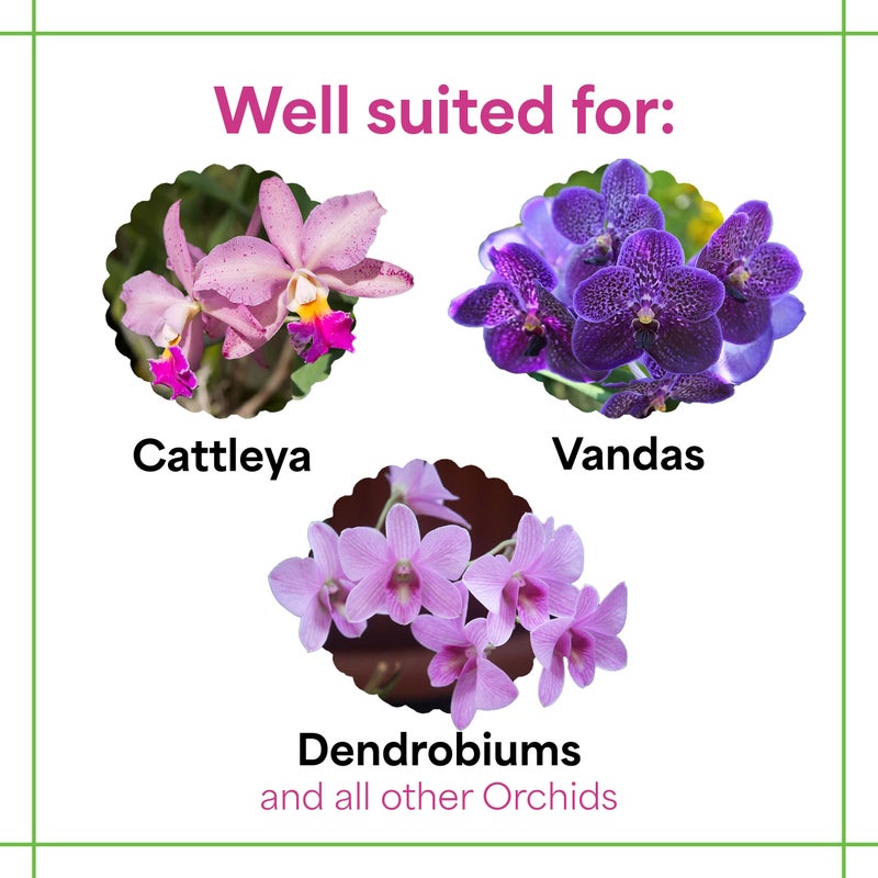 Grow More All Purpose Orchid Fertilizer 20-20-20 for Soil Maintenence Year Round - 20oz of Water Soluble Orchid Food Fertilizer for All Orchids - Plant Food for Healthy Growth & Vibrant Blooms - Image 3