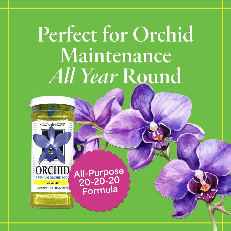 Grow More All Purpose Orchid Fertilizer 20-20-20 for Soil Maintenence Year Round - 20oz of Water Soluble Orchid Food Fertilizer for All Orchids - Plant Food for Healthy Growth & Vibrant Blooms - Image 2