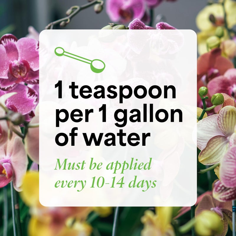 Grow More All Purpose Orchid Fertilizer 20-20-20 for Soil Maintenence Year Round - 20oz of Water Soluble Orchid Food Fertilizer for All Orchids - Plant Food for Healthy Growth & Vibrant Blooms - Image 5