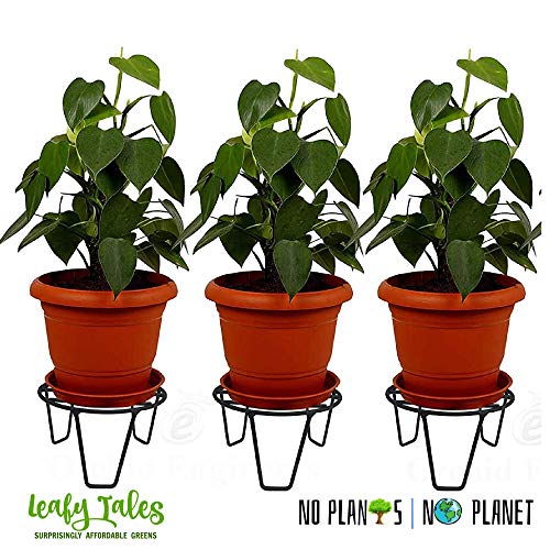 Leafy Tales Round Metal Plant Stand for Outdoor Balcony, Set of 3 ,20*20*10cm| Black Round Flower Pot Stand for Home Garden | Heavy-Duty Iron Gamla Stand for Balcony, Terrace & Living Room | Rust-Resistant Outdoor Pot Holder - Image 2
